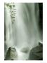 Close View Vertical Of Trafalgar Falls Hitting The Rocks Below by Todd Gipstein Limited Edition Print