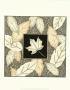 Neutral Maple With Chestnut Medley by Nancy Slocum Limited Edition Print