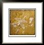 Wings & Damask Iv by Jennifer Goldberger Limited Edition Pricing Art Print