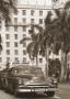 Black Car With Palm Trees by Nelson Figueredo Limited Edition Print