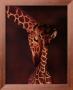 Giraffe by Karl Amman Limited Edition Pricing Art Print