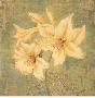 Adorned Lily by Laurel Lehman Limited Edition Print