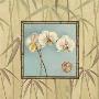 Orchid Spa Iii by Lisa Audit Limited Edition Print