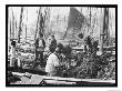 Fishermen Overhaul The Nets On Their Boats At Scarborough Yorkshire by Graystone Bird Limited Edition Print