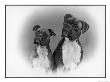Two Unidentified Boxer Heads Slightly Tilted by Thomas Fall Limited Edition Print