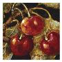 Sweet Cherries I by Nicole Etienne Limited Edition Pricing Art Print