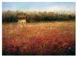Sparkling Field by Ken Hildrew Limited Edition Print