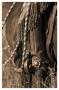 Ready To Ride Ii In Sepia by Robert Dawson Limited Edition Pricing Art Print