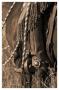 Ready To Ride Ii In Sepia by Robert Dawson Limited Edition Print
