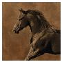 Westward Gallop by Robert Dawson Limited Edition Pricing Art Print