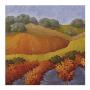 Hillside Vineyard I by Kathryn Steffen Limited Edition Pricing Art Print