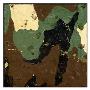 Camo by Aaron Christensen Limited Edition Pricing Art Print
