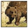 Bear by Aaron Christensen Limited Edition Print