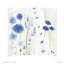 Cornflower Ii by Janet Bell Limited Edition Print