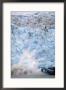 Childs Glacier Calving, Copper River, Chugach National Forest, Alaska, Usa by Paul Souders Limited Edition Print