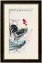 Rooster And Peach by Guozen Wei Limited Edition Print