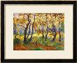 Edge Of The Forest by Paul Ranson Limited Edition Print