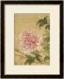 Peony by Yun Shouping Limited Edition Print