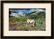 Meadows In Spring by Giovanni Segantini Limited Edition Print