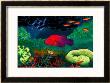 Great Barrier Reef, Australia by John Newcomb Limited Edition Print