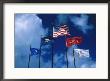 Flags Of Us Army, Navy, Marines, And Coast Guard by Francie Manning Limited Edition Print