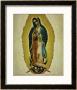 The Virgin Of Guadaloupe, 1766 by Miguel Cabrera Limited Edition Print