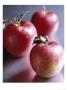 Ripe Apples by Fogstock Llc Limited Edition Print