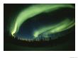 Brilliant Display Of Auroral Lights by Paul Nicklen Limited Edition Print
