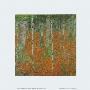 Birch Forest, 1903 by Gustav Klimt Limited Edition Print
