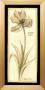 Neutral Tulip Gesture Ii by Jennifer Goldberger Limited Edition Pricing Art Print