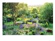 View Into Country Garden With Blue And Pink Colour Plants Summer by Lynn Keddie Limited Edition Print