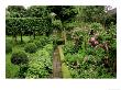 Stone Path Leading Between Parterre Herb Garden And Lawn Area by Mark Bolton Limited Edition Print