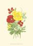 Summer Garden Ii by Anne Pratt Limited Edition Print