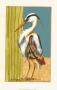 Seaside Herons Ii by Jennifer Goldberger Limited Edition Print