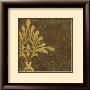 Gold Damask I by Chariklia Zarris Limited Edition Print