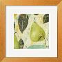 Bartlett Pear by Nicholas Wilton Limited Edition Pricing Art Print