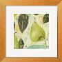 Bartlett Pear by Nicholas Wilton Limited Edition Print