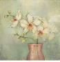 Orchid Blossom Iv by Eva Kolacz Limited Edition Print