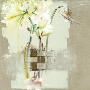 Amaryllis A Trois Tiges Ii by C. Bernarduchãªne Limited Edition Print