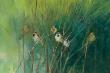 Summer Sparrows by Ellen Granter Limited Edition Pricing Art Print