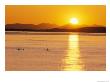 Kayaking At Sunset, San Juan Islands, Washington, Usa by Stuart Westmoreland Limited Edition Print