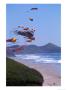 Kites Flying On The Oregon Coast, Usa by Janis Miglavs Limited Edition Print