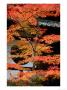 Autumn Leaves At Eikando Temple, Kyoto, Japan by Frank Carter Limited Edition Print