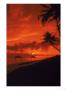 Sunrise, Lanikai Oahu, Hawaii by Cheyenne Rouse Limited Edition Print