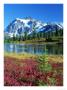 Mt. Shuksan And Picture Lake, Washington by Mark Windom Limited Edition Print