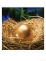 Golden Egg In A Nest by William Swartz Limited Edition Pricing Art Print