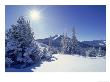 Sunlight On Fresh Snow, Wasatch Mt. Range, Ut by Kyle Krause Limited Edition Print