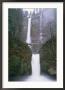 A Bridge Over A Portion Of Multnomah Falls In Oregon by Paul Nicklen Limited Edition Print