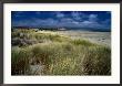 Drakes Bay Beach, Point Reyes National Seashore, California, Usa by Greg Gawlowski Limited Edition Print