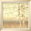 Birch Silhouette Ii by James Wiens Limited Edition Pricing Art Print
